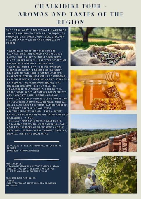 Πετρινη Κατοικια Στην Φυση Villa Tagarades Luaran gambar